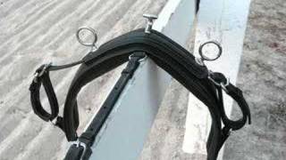 horse carriage driving harness saddle sliding backband [upl. by Weisberg719]