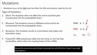 Mutations Silent Missense Nonsense and Frameshift [upl. by Eeliab604]