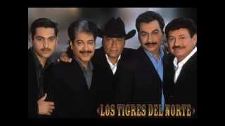 pa pistear tigres del NORTE MIX [upl. by Yrad439]