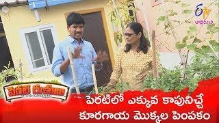 Inti chitkaluSendriya Yeruvula Peratithota  Perati Ruchulu  18th January 2019  Full Episode ETV [upl. by Ragucci]