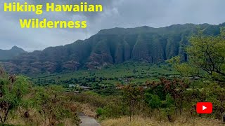 Exploring Hawaiis wilderness Makaha Valley [upl. by Oiralednac287]