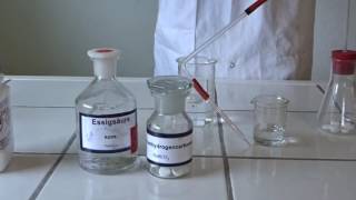 Chemie Experiment 77  Nachweis von Kohlenstoffdioxid [upl. by Daigle]