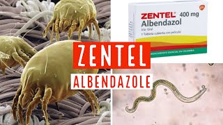 ZENTEL 400 mg ALBENDAZOLE [upl. by Anhcar627]