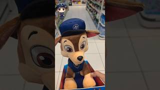 Patrulha canina muito fofos ❤️❤️ toys pawpatrol patrulhacanina [upl. by Sirromaj]