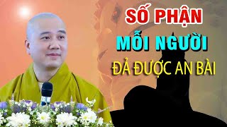 SỐ PHẬN Mỗi Người Có Phải Đả Được An BàiquotDo Ông Trời Đã Sắp Đặt SẵnquotThầy Thích Pháp hòa [upl. by Yuille]