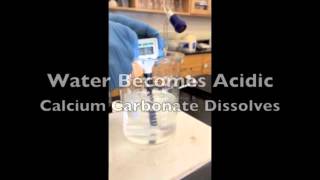 Simulating Ocean Acidification Using a SodaStream [upl. by Aissirac309]