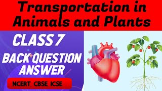 Transportation in Animals and Plants Class 7 Question Answers Class 7 Chapter 11 Question Answers [upl. by Cary]