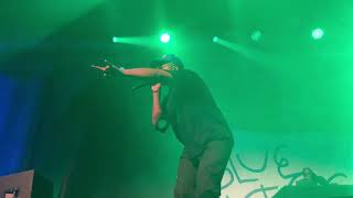 ScHoolboy Q  quotCollard Greensquot LIVE at Chicago IL Ramova Theatre 072424 [upl. by Raybourne448]