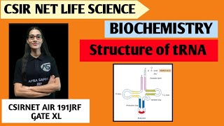 t RNA Structure  Biochemistry  apnasapnajrf csirnetlifescience [upl. by Marna391]