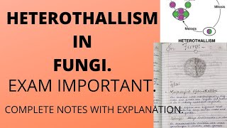 HETEROTHALLISM IN FUNGIFull explanation with notesbscbotany [upl. by Natsirc]