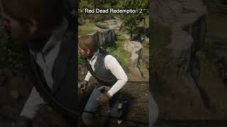 Red Dead Redemption 2 quartz chunk [upl. by Ahsilav741]