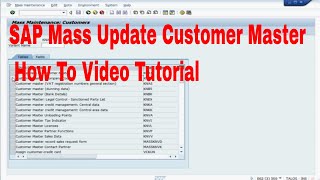 SAP Mass Update Customer Master How To Video Tutorial [upl. by Robinia284]