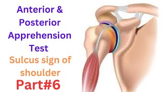 Shoulder dislocation types Anterior amp Posterior Apprehension tests Sulcus sign of shoulder [upl. by Joelie508]