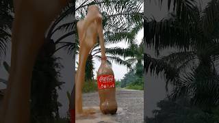 coke and mentos [upl. by Segalman]