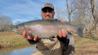 Hiawassee Georgia Rainbow Trout Fishing Part 2 [upl. by Aneetsirk77]