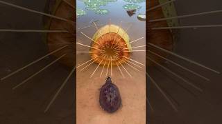 Survival Skills SIMPLE and USEFUL with coconut Turtle trap camping bushcraft outdoors useful [upl. by Rufina]