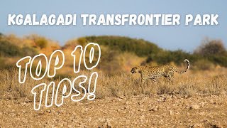 Plan the perfect trip to the Kgalagadi Transfrontier National Park  TOP 10 TIPS [upl. by Oigaib]