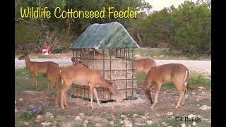 C4 Builds Wildlife Cottonseed Feeder [upl. by Wagshul]