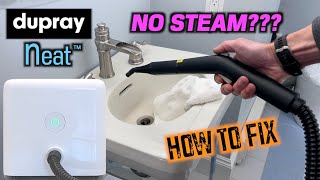 Dupray NEAT Steam Cleaner  NO STEAM or SPRAY Solved [upl. by Enihpets]