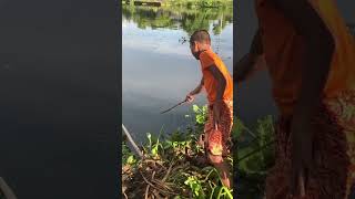 Catching fish with fishhook villagefishing fishingtechniques fishhook [upl. by Farland]