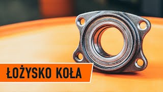 Jak wymienić łożysko koła— VW  AUDI  SKODA TUTORIAL  AUTODOC [upl. by Yalonda]