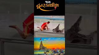 Jay dwarkadhish jaydwarkadhish shortsfeed trending motivation youtubeshorts viralvideo [upl. by Porett]