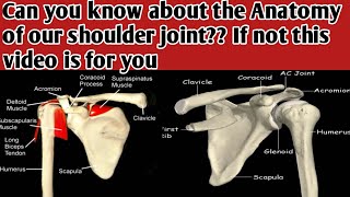 anatomy of shoulder joint  anatomy of shoulder ligaments  movements and bones [upl. by Branham]