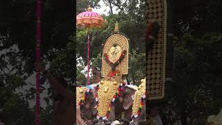 THRISSUR POORAM VIBES thrissur thrissurpooram thrissurmedia pooramvibes pooram [upl. by Tessie]