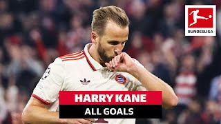 Harry Kane  40 Goals In Just 35 Games [upl. by Yrogreg]