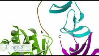 Cognizin FAQ  Why use Citicoline Part 3 of 10 [upl. by Philipps]