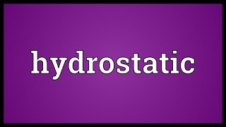 Hydrostatic Meaning [upl. by Bartosch]