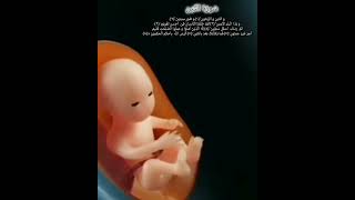 Quran surah Alteen By Paradise world yt short [upl. by Akimert]