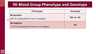 Hematology  4  U1L32  Rh genotypes and phenotypes [upl. by Akfir]