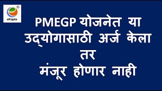 PMEGP madhe karta yenar nahi he udyog [upl. by Airym]