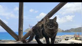 En visite sur lîle de Spinalonga [upl. by Aynot]