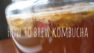 How to Make amp Brew Kombucha Tea [upl. by Mikkel]