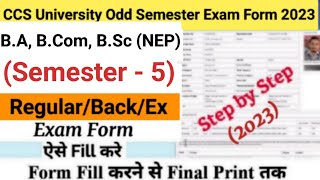 How to Fill CCS University Examination Form 2023  CCSU BA BCom BSc NEP Exam form fill up [upl. by Vanda]