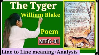 poemThe Tyger By William Blake Explanation line to line in hindi [upl. by Alyahc]