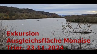 Vogelexkursion Ausgleichsfläche Monaise Trier 23112024 [upl. by Latisha]