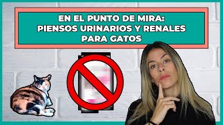 PIENSO URINARIO PARA GATOS 👍 ¿Qué PIENSOS pueden usar los GATOS con problemas URINARIOS o RENALES😸 [upl. by Leander31]