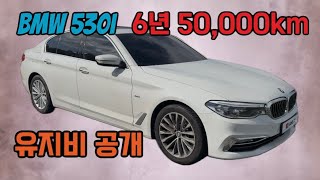 BMW 530i G30 6년 5만킬로미터 유지비공개차계부중고차 [upl. by Ignatz116]