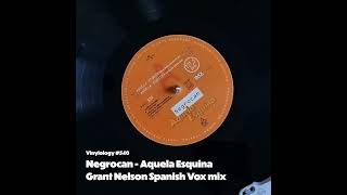 Negrocan  Aquela Esquina Grant Nelson Spanish Vox mix [upl. by Htennaj510]