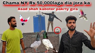 Ustad chama NY Rs 50000 laga dia jora ka 😲 Asad shah kaboter pakarty huwy tanki se nichy Gira [upl. by Nattirb]