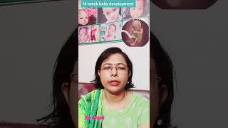 14week pregnancy baby development [upl. by Behah]