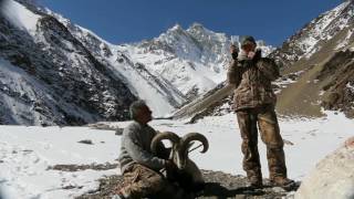 Blue Sheep hunting in Pakistan [upl. by Bellanca796]