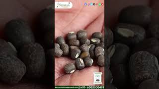 KOTA3 BLACK GRAM SEEDS  SRINIVASA AGRO SEEDS  URAD DALL ENGLISH VERSION [upl. by Kitty686]