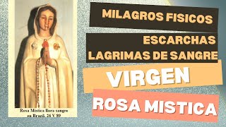 Lagrimas de Sangre escarchas algunos de miles de milagros obrados por la Virgen Maria Rosa Mística [upl. by Durnan]