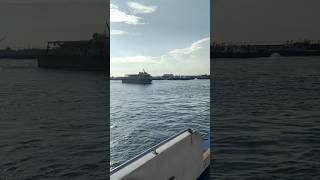 Lets have a boat drive singapore shorts navy [upl. by Tyoh]