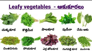 Leafy vegetables names ఆకుకూరలు English to Telugu tutorials [upl. by Ahtnamas963]