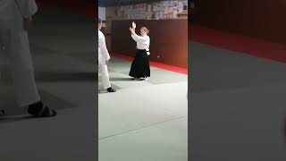 Cerdanya aïkido DOJO DESTAVAR ballaretbougerradiowebco aikido66com [upl. by Arliene]